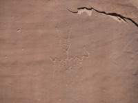 Cholla Petroglyph
